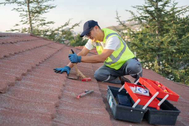 Roof Gutter Cleaning in Allentown, NJ